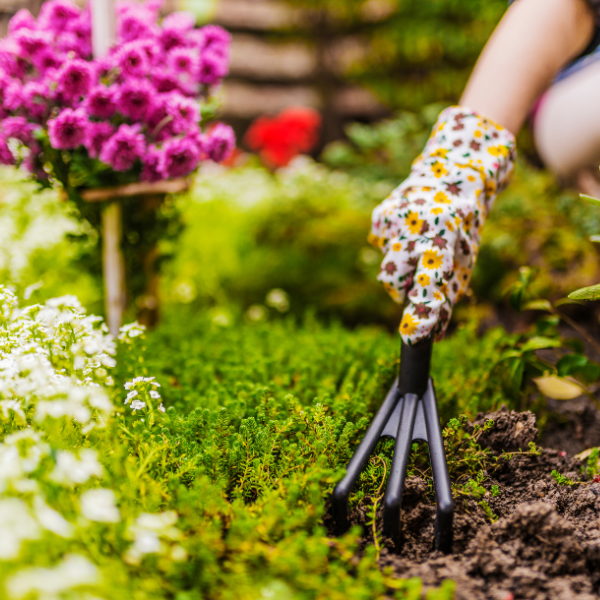 jardin printemps